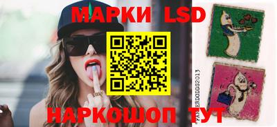 ПСИЛОЦИБИНОВЫЕ ГРИБЫ Кимры