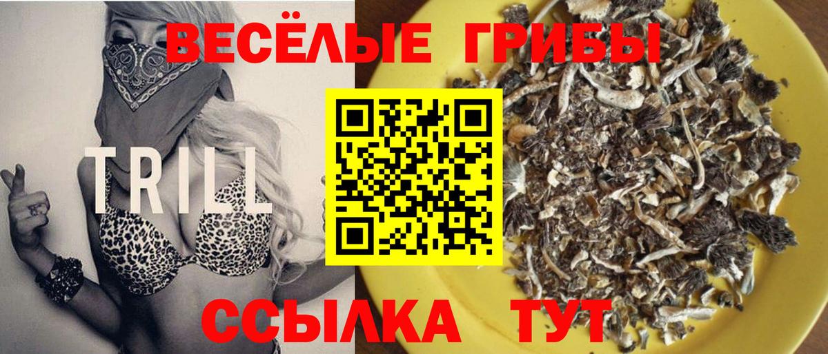 Псилоцибиновые грибы Psilocybine cubensis Кропоткин