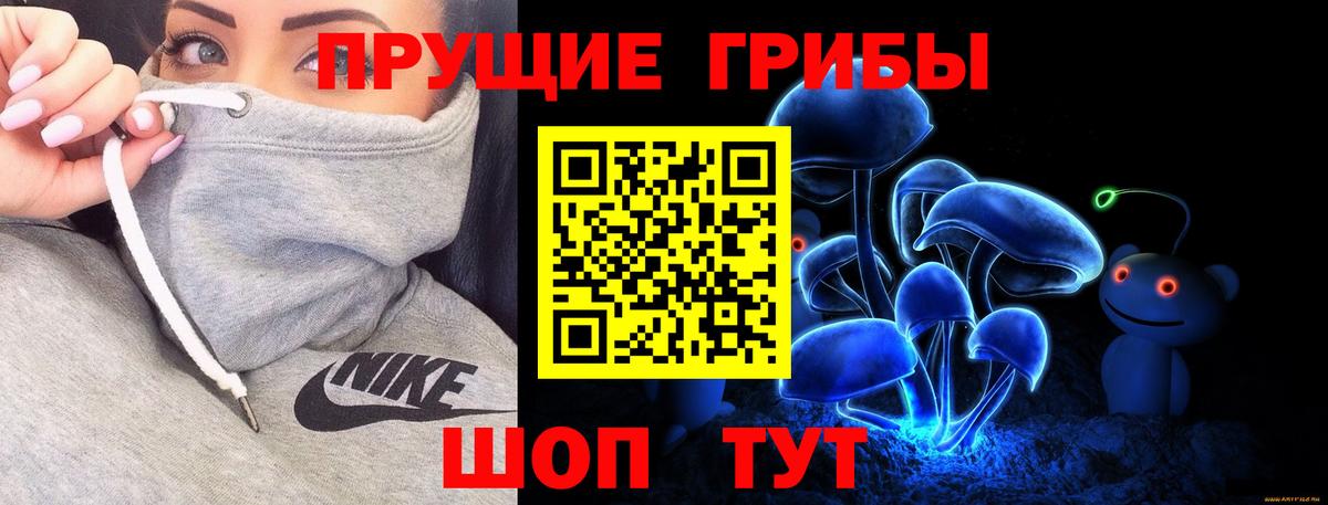 Кропоткин  Псилоцибиновые грибы мухоморы  Вход с VPN 